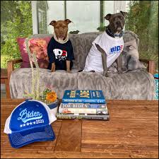 Animal Advocate Dani On Twitter In 2020 Pitbull Rescue Rescue Dogs Cute Dogs