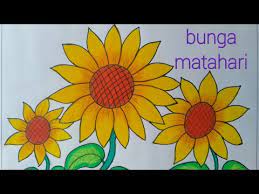 Misalnya bunga matahari adalah bunga berwarna oranye dan kuning, bunga mawar berwarna merah, serta bunga melati warnanya putih. Belajar Mewarnai Gambar Bunga Matahari Mewarnai Cerita Terbaru Lucu Sedih Humor Kocak Romantis