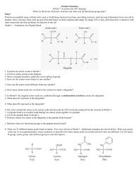 Chemical reactions can be classified into different categories. Protein Structure Pogil Activities For Ap Biology What Are The