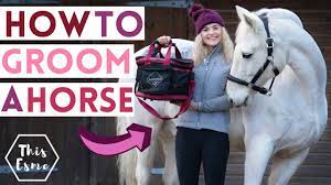 How To Groom A Horse + What's In My Grooming Kit + Tips For Grey Ponies Ad  | This Esme - Youtube