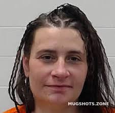 Wayne County Mugshots Zone