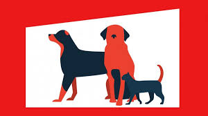 There are pictures and profiles of various pets available for adoption. Pet Adoption Rates Boost During Covid 19 Pandemic The Prospector