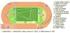 Check spelling or type a new query. Resultado De Imagen De Fotos De Pista De Atletismo Y Sus Medidas Pista De Atletismo Pistas De Atletismo Carrera De Vallas