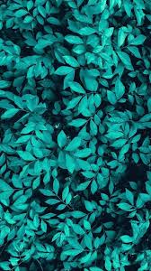 The widely used whatsapp and viber communication apps are similar in services offered and cost. 21 Trendy Wallpaper Whatsapp Backgrounds Tosca Whatsapp Background Green Wallpaper Blue Wallpapers