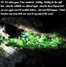 Image result for Pleopeltis  × simiana