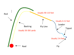 We did not find results for: Fly Fishing For Beginners Gear Setup Everything You Need To Know Fly Fishing For Beginners Fly Fishing Line Fishing For Beginners