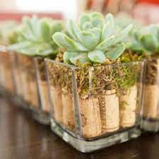 Maybe you would like to learn more about one of these? Wine Cork Wedding Favors Ideas Wine Cork Wedding Wine Cork Wedding Favors Wine Cork Diy
