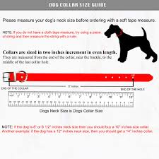 Caybe Embellished Dog Collar Cute Female Dog Collars Xsmall Dog Collar Small Dog Collar Large Dog Collar