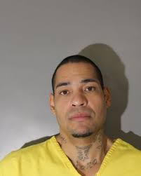 Felon admits strangling female & pointing rifle at her in Clarksburg, West  Virginia