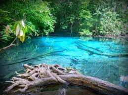 Terokai hutan paya bakau memang satu aktiviti yang saya sangat cadangkan untuk anda cuba sendiri dan rasai suasana yang. 10 Aktiviti Menarik Yang Boleh Anda Lakukan Sewaktu Di Krabi Thailand