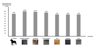 4,928 likes · 12 talking about this. Durchschnittliche Lebenserwartung Von Cane Corso Italiano Hunden In Der Beziehung Zur Haarfarbe Hundewelt At