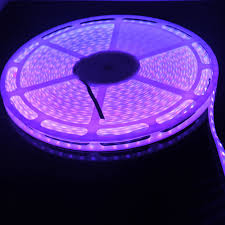 Share the best gifs now >>> Dc24v 65 6ft 20m Color Change Rgb Flexible Led Light Strip Reel Without Voltage Drop Fslrgb Ip20 5050x300 L20 109 98