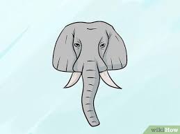 Sketsa cara gambar gajah gambar sketsa gajah nampak depan ternyata bisa di buat dengan cara yang cukup simple buat 3 lingkaran untuk kepala di bagian tengah dan telinga di bagian kiri kanannya. 4 Cara Untuk Menggambar Gajah Wikihow