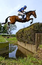 Das vielseitigkeitsreiten (ehemals military genannt) und international meist als cc (französisch für häufig werden mehrere hindernisse (beispielsweise ein baumstamm und ein wassergraben). Die 12 Disziplinen Im Reiten Will Reiten De