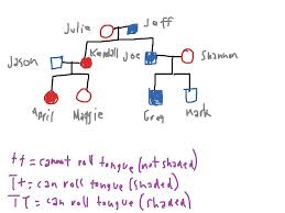 Pedigree Chart Science Showme