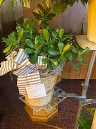 Allen M. Headrick Jr. Obituary