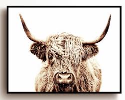 Highland Cow Print Buffalo Print Bull Print Cow Canvas Etsy In 2021 Cow Wall Art Highland Cow Print Cow Canvas