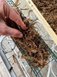 We did not find results for: Moss Pole Diy 7 Easy Steps To Make A Perfect One
