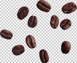 Coffee Bean Tea Cappuccino Png Arabica Coffee Bean Beans Cafe Chocolate Coffee Beans Coffee Bean Tree Types Of Coffee Beans