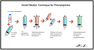 Image result for Priapism