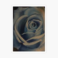 Tarjetas De Felicitacion Oleo Pintado Rosa Azul Arte De Lesaporito Redbubble Serie flores pintadas con óleo. tarjetas de felicitacion oleo pintado rosa azul arte de lesaporito redbubble