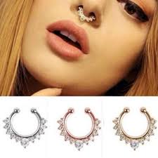 Septum (plural septa or septums or septae). New Fashion Titanium Crystal Fake Nose Ring Septum Nose Hoop Ring Piercing Body Jewelry Drop Shipping Piercing Body Jewelry Body Jewelryfake Nose Ring Septum Aliexpress