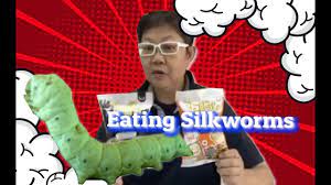 Eating Insects Tom Yum And Sesame Flavor In Thailand Eating Insects Eat Thailand