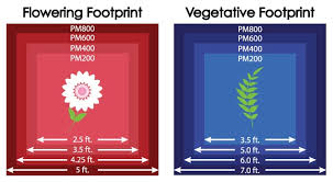 The best way to assess the light intensity of a grow light is to look at its ppf and ppfd measurements. Black Dog Phytomax 200 400 600 800 1000 Watt Led Grow Light Review