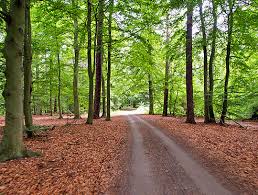 69 likes · 3 talking about this. Ostseekustenradweg Rostocker Heide