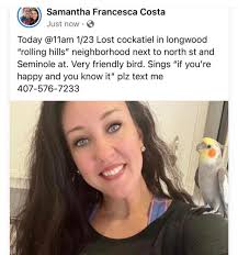 NEW YEAR's EVE The Allie Cats The Seineyard at Wildwood