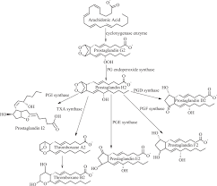 Całodobowy kantor wymiany walut ul. Developmental Perspectives Of The Drugs Targeting Enzyme Instigated Inflammation A Mini Review Springerlink