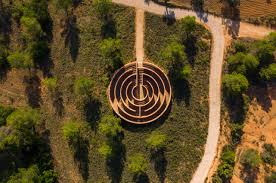 Bildergebnis für Hector Zamora