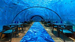 Découvrez l'univers du w maldives resort. Dine Under The Sea During A Holiday At Kuredu Resort Maldives