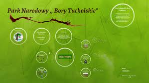Zgodnie z ustawą o ochronie przyrody z 2004 r. Park Narodowy Bory Tucholskie By Marta Kowalska