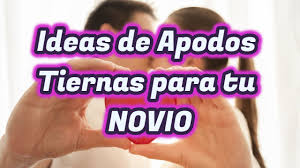 Ideas De Apodos Tiernas Para Tu Novio Youtube