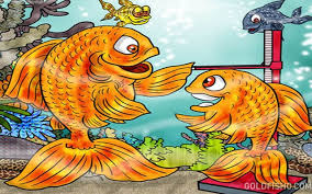 Help Your Goldfish Grow Goldfish Size How Big Do They Get