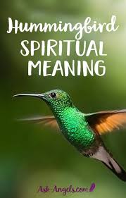 4 Hummingbird Meanings Learn About Hummingbird Symbolism Hummingbird Symbolism Hummingbird Meaning Bird Meaning