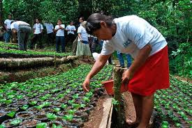 Soberanía alimentaria. Porque es imprescindible luchar por ella - Bio Eco Actual