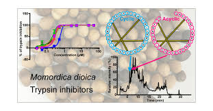 Image result for Momordica repens
