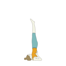 Sarvangasana Shoulderstand Pose Preparatory Poses Tummee Com Basic Yoga Poses Yoga Poses Advanced Yoga Poses