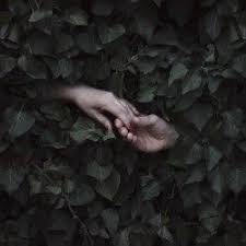 Jovana Rikalo Blind Love Stock Photography Free Hand Photography