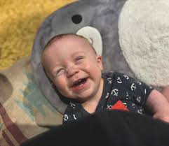 Ponies in the woods at West Blean 😊