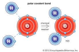| meaning, pronunciation, translations and examples. Covalent Bond Definition Properties Examples Facts Britannica