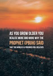 Contact quranic words of wisdom on messenger. Wisdom Islam Wisdom Quotes Life Islamic Quotes Life Quotes