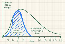 What does pcr stand for lab? Are You Infectious If You Have A Positive Pcr Test Result For Covid 19 The Centre For Evidence Based Medicine