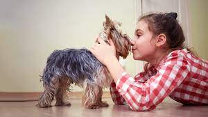 7 Tips To Manage Your Child S Pet Allergy Everyday Health