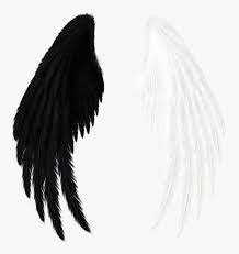 Wings Black White Black And White Red Angel Wings Png Transparent Png Transparent Png Image Pngitem