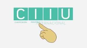 CLASIFICACIÓN INDUSTRIAL INTERNACIONAL UNIFORME (CIIU)