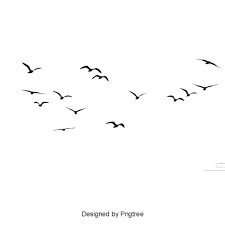 Birds Bird Migration Seagull Clip Art Flock Of Flying Birds Flying Silhouette Png Transparent Image And Clipart For Free Download Passaros Voando Silhueta Do Passaro Passarinho Png