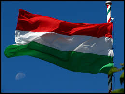 Bernardo silva goes down in the box, ref not impressed. About The Flag Of Hungary Fromhungarywithlove